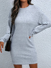 Round Neck Long Sleeve Mini Dress